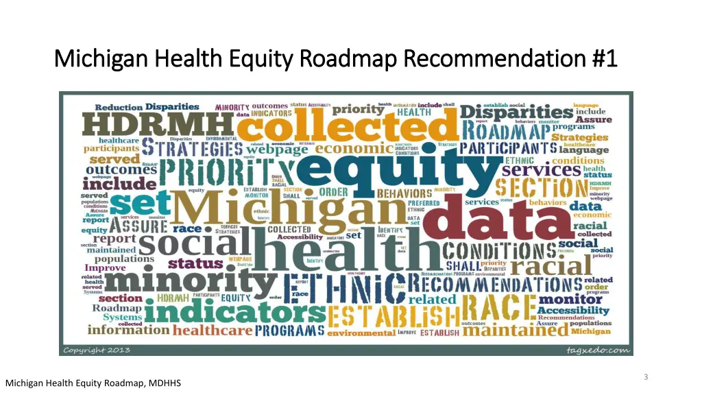 michigan health equity roadmap recommendation