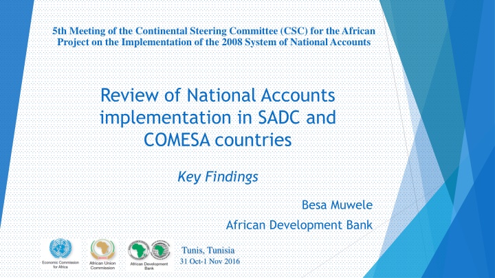 5th meeting of the continental steering committee