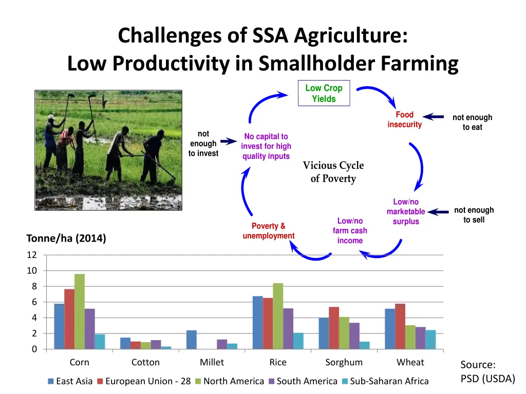 challenges of ssa agriculture low productivity