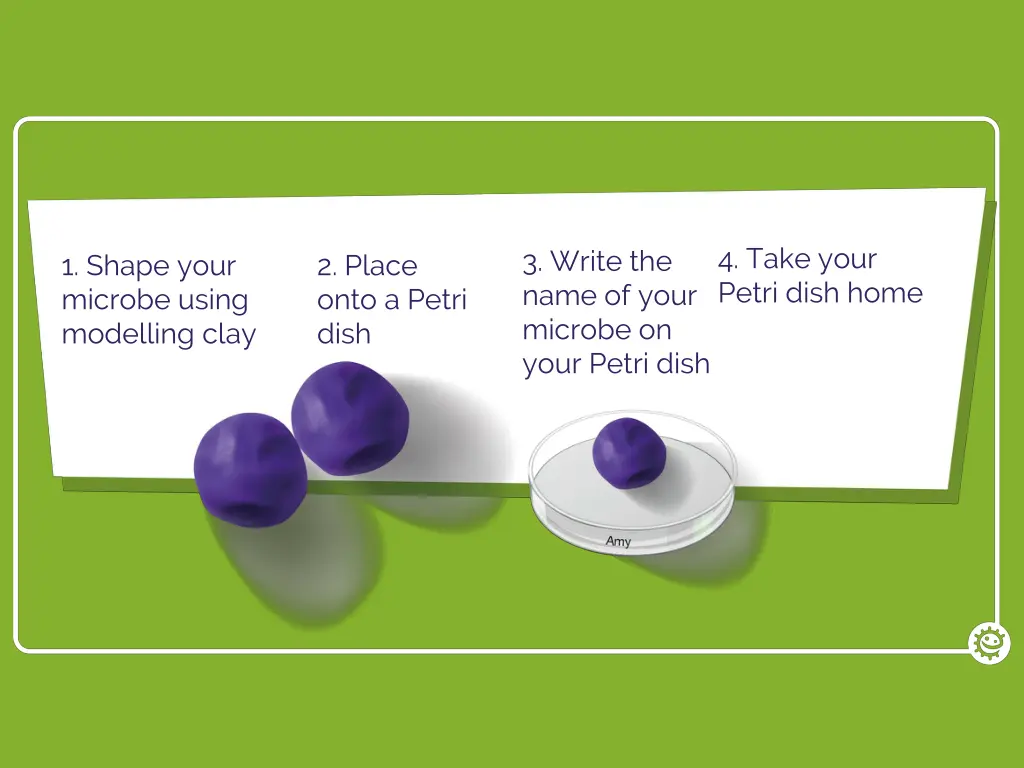 4 take your petri dish home