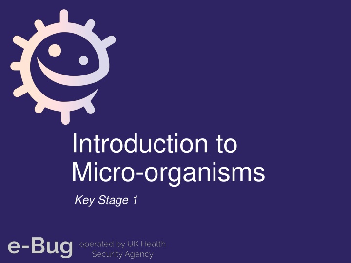 introduction to micro organisms