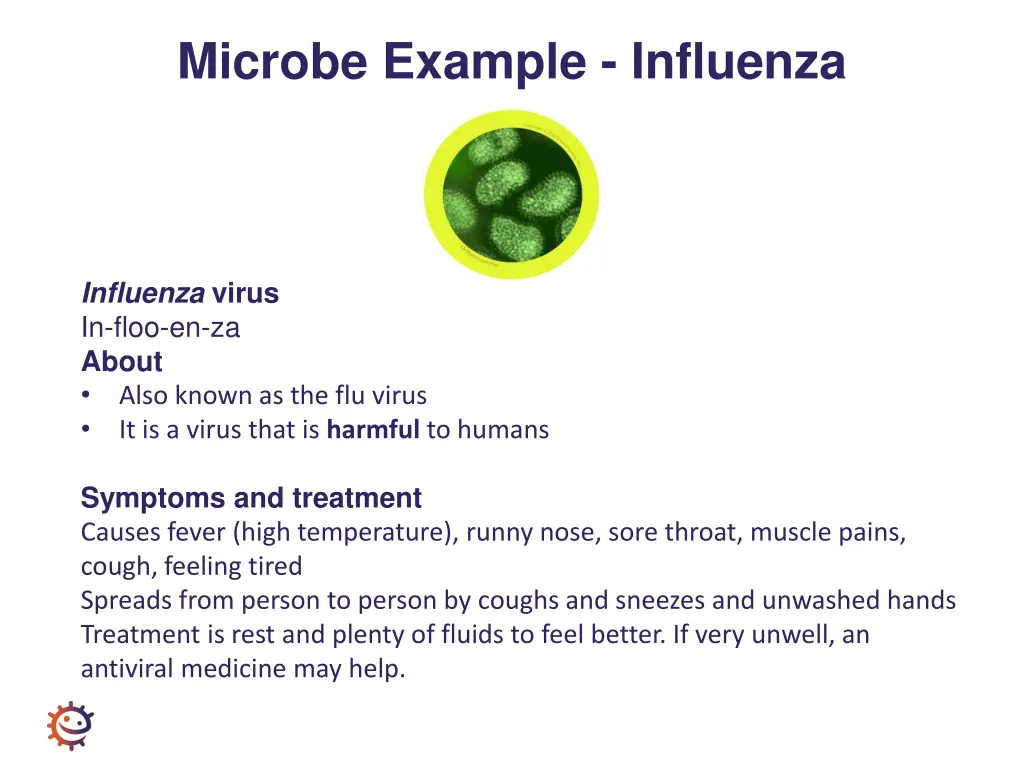 microbe example influenza