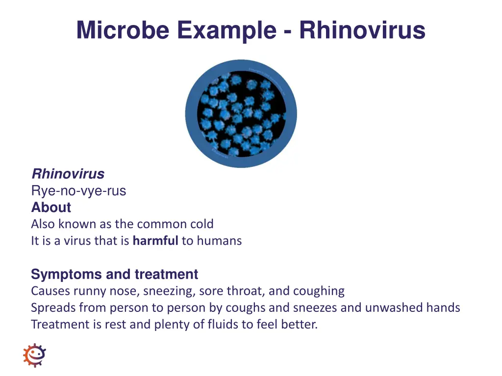 microbe example rhinovirus