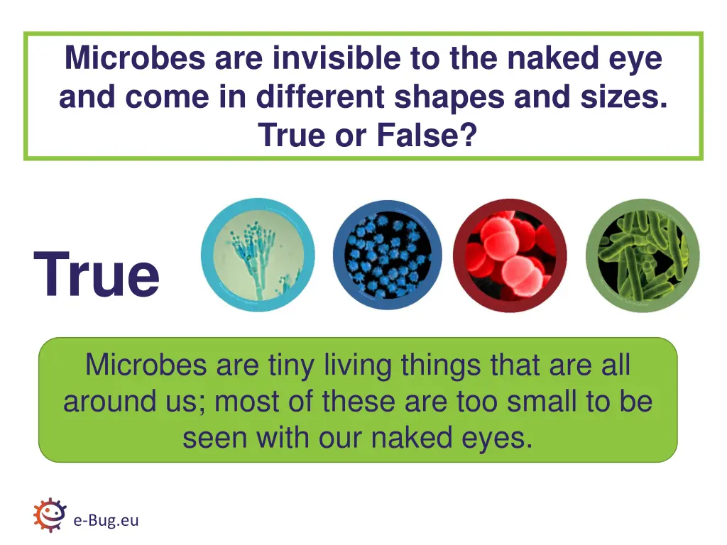 microbes are invisible to the naked eye and come