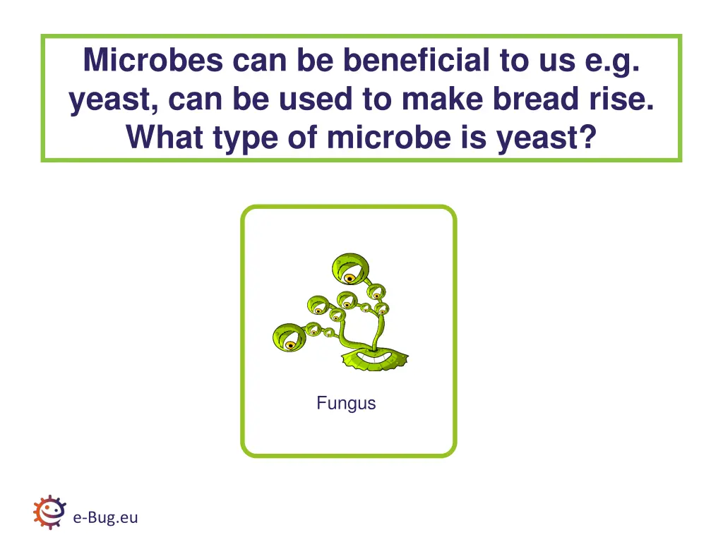 microbes can be beneficial to us e g yeast