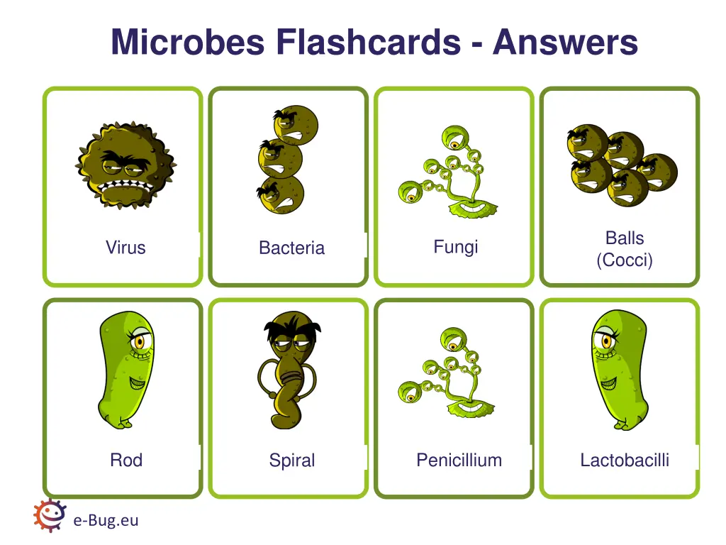 microbes flashcards answers