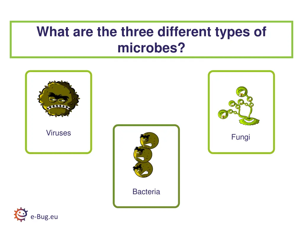 what are the three different types of microbes