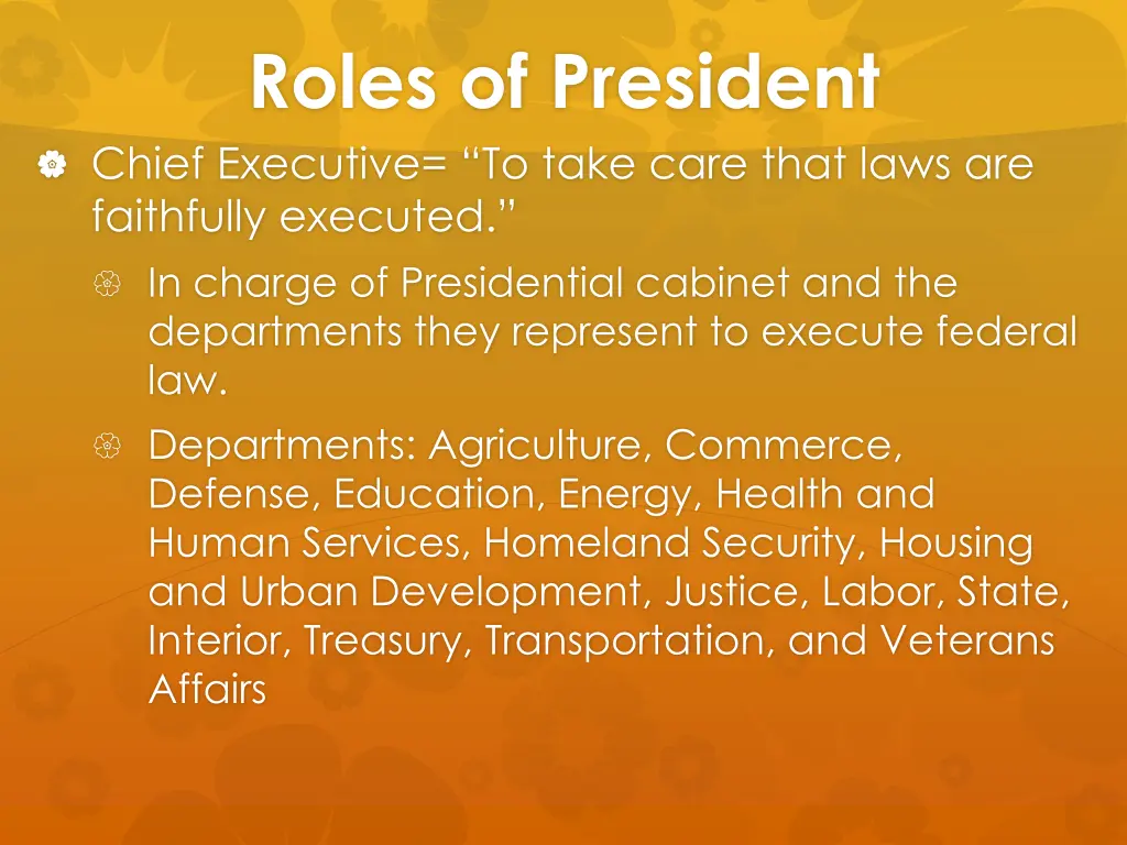 roles of president chief executive to take care