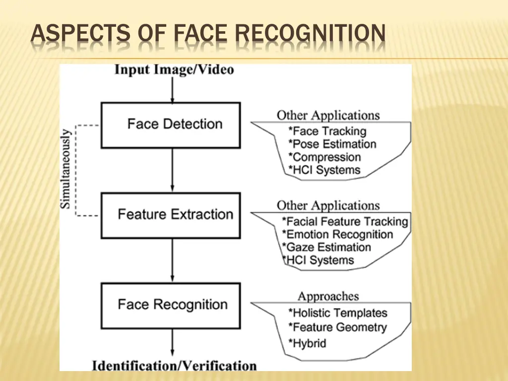 aspects of face recognition