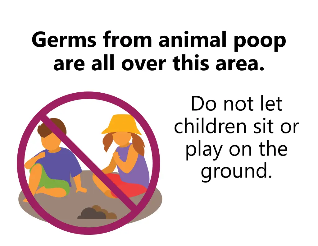 germs from animal poop are all over this area