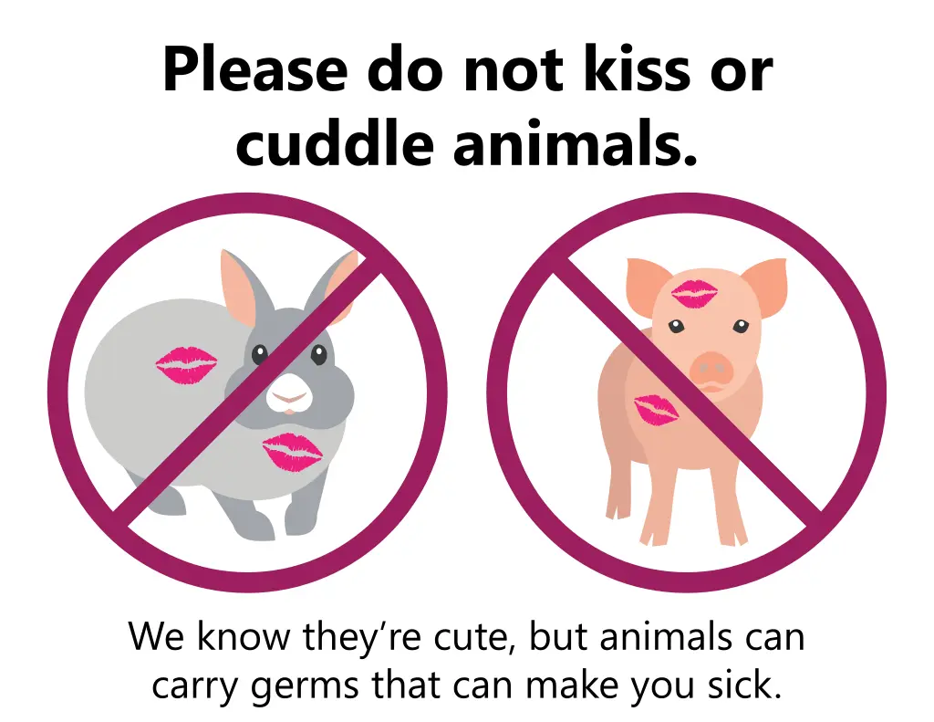 please do not kiss or cuddle animals