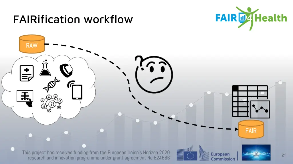 fairification workflow