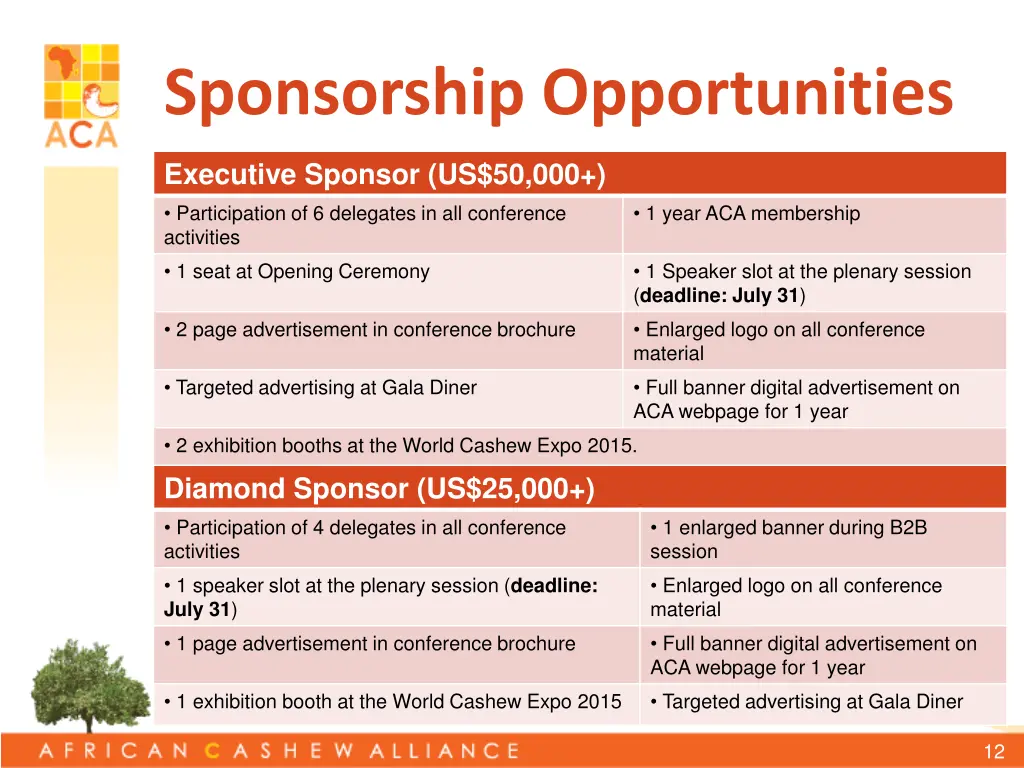 sponsorship opportunities