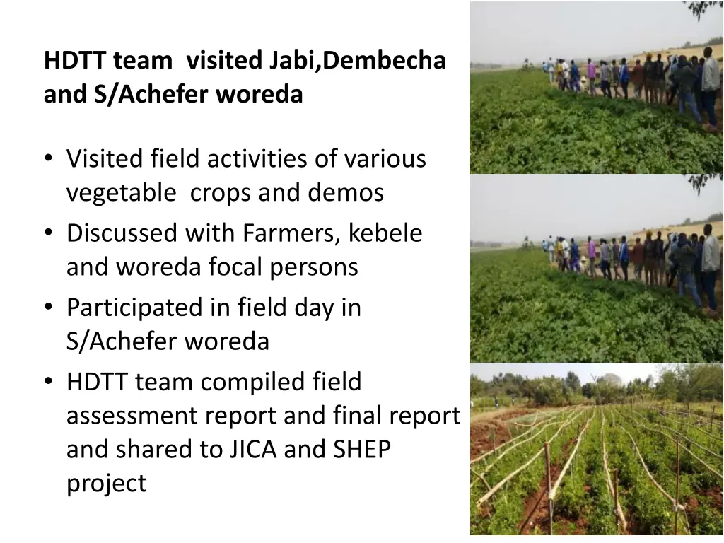 hdtt team visited jabi dembecha and s achefer