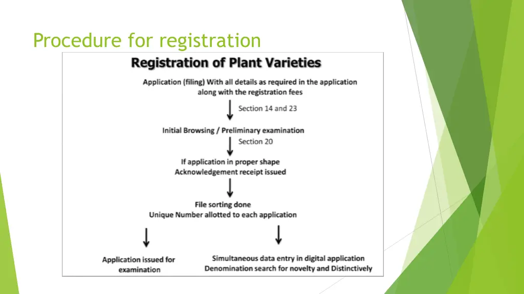 procedure for registration