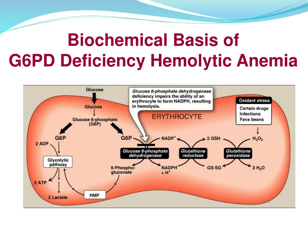 biochemical basis of g6pd deficiency hemolytic