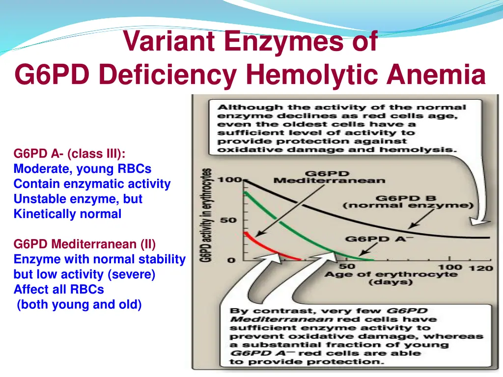 variant enzymes of g6pd deficiency hemolytic