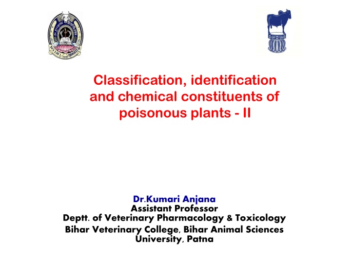 classification identification and chemical