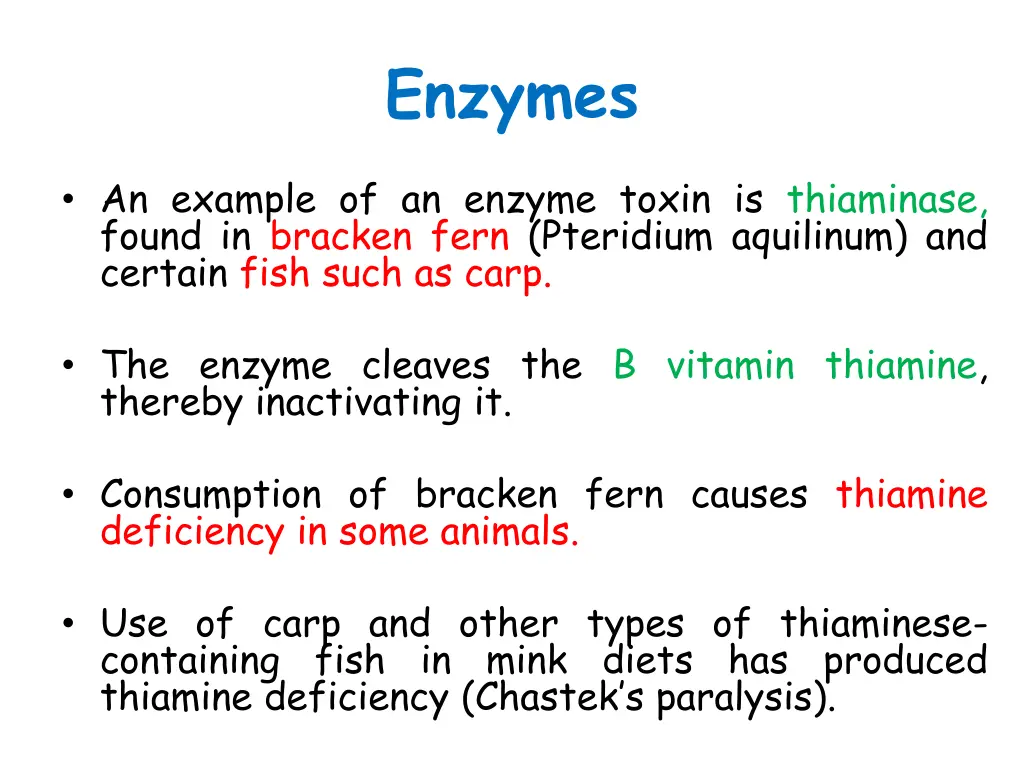 enzymes