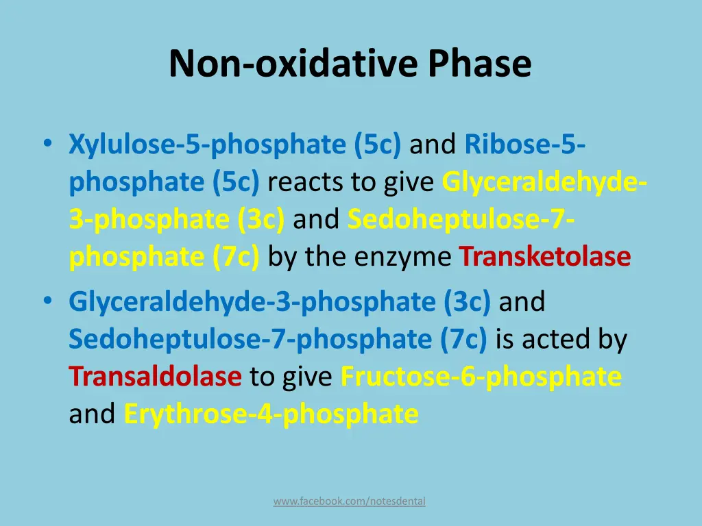 non oxidativephase 1