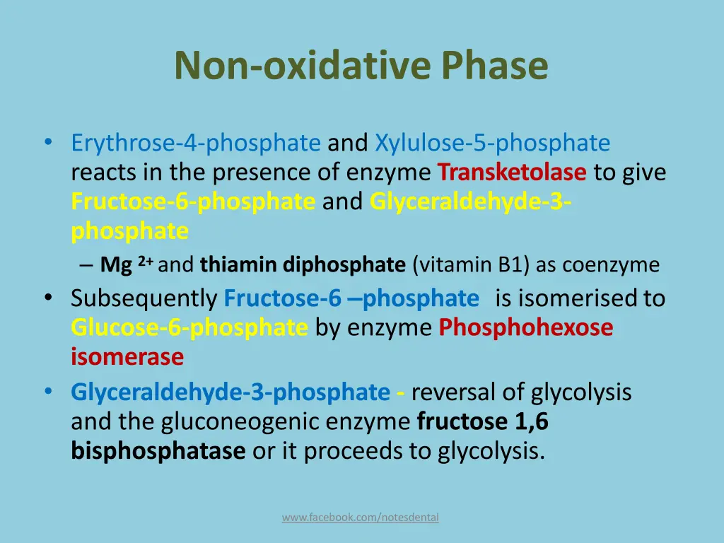 non oxidativephase 2