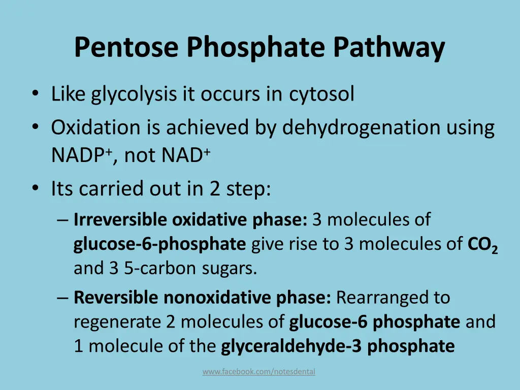 pentose phosphate pathway 1