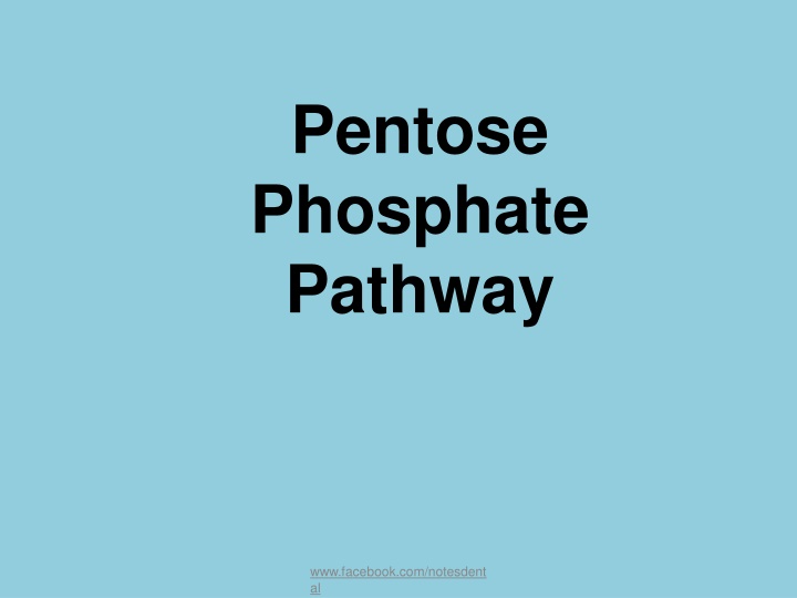 pentose phosphate pathway