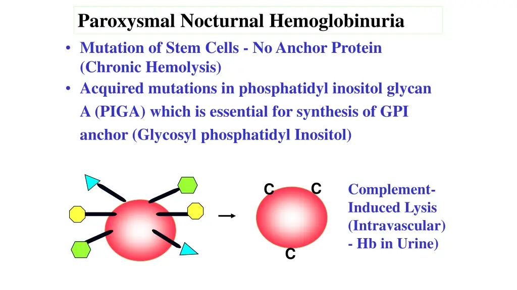 paroxysmal nocturnal hemoglobinuria