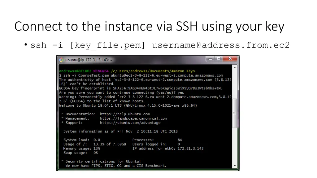 connect to the instance via ssh using your key