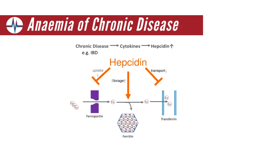 chronic disease e g ibd