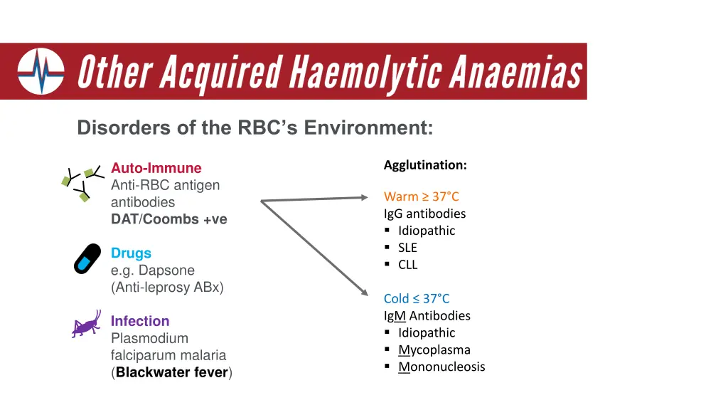 disorders of the rbc s environment