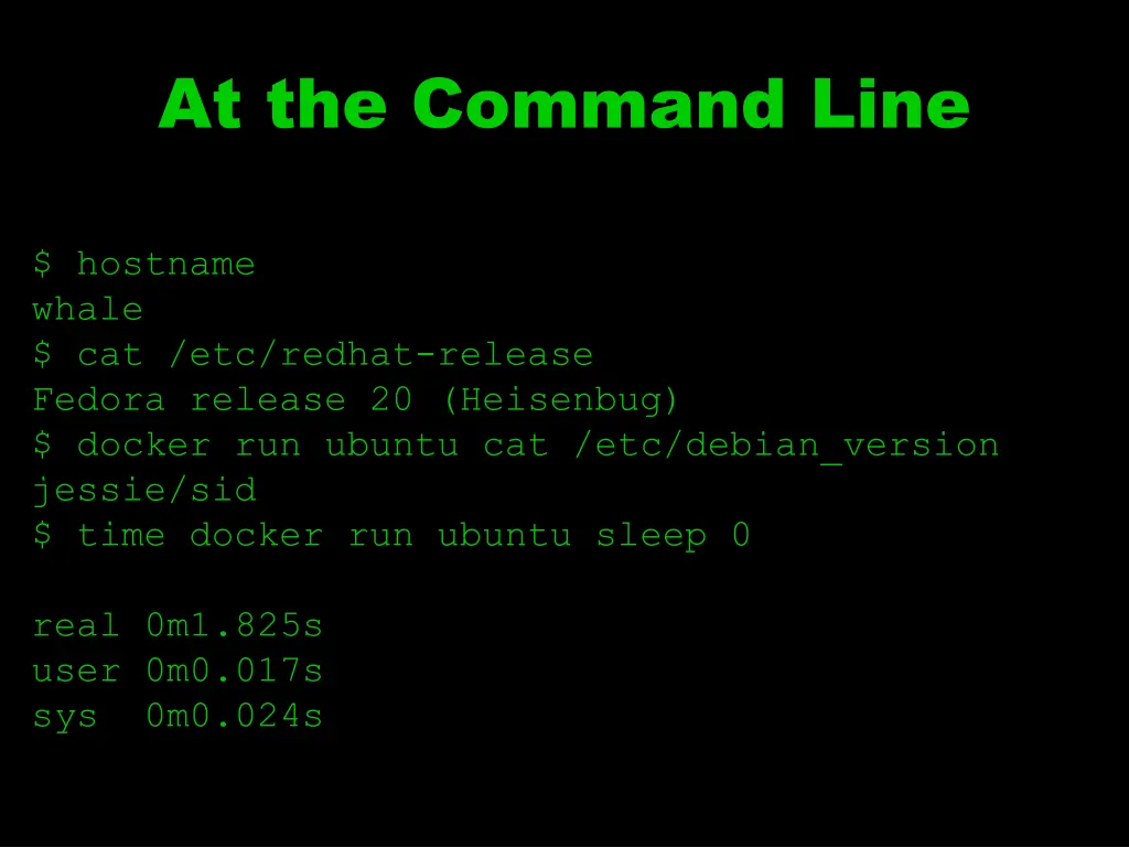 at the command line