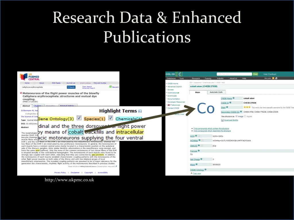 research data enhanced publications