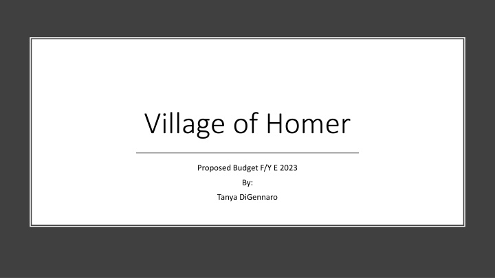 village of homer