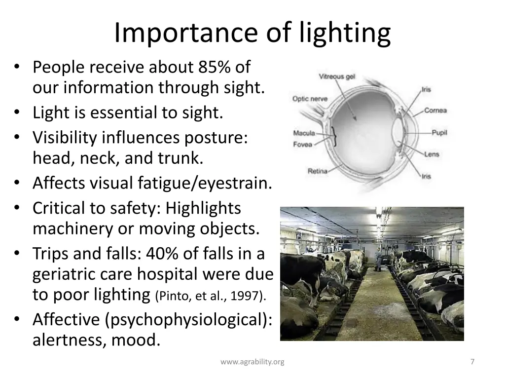 importance of lighting people receive about