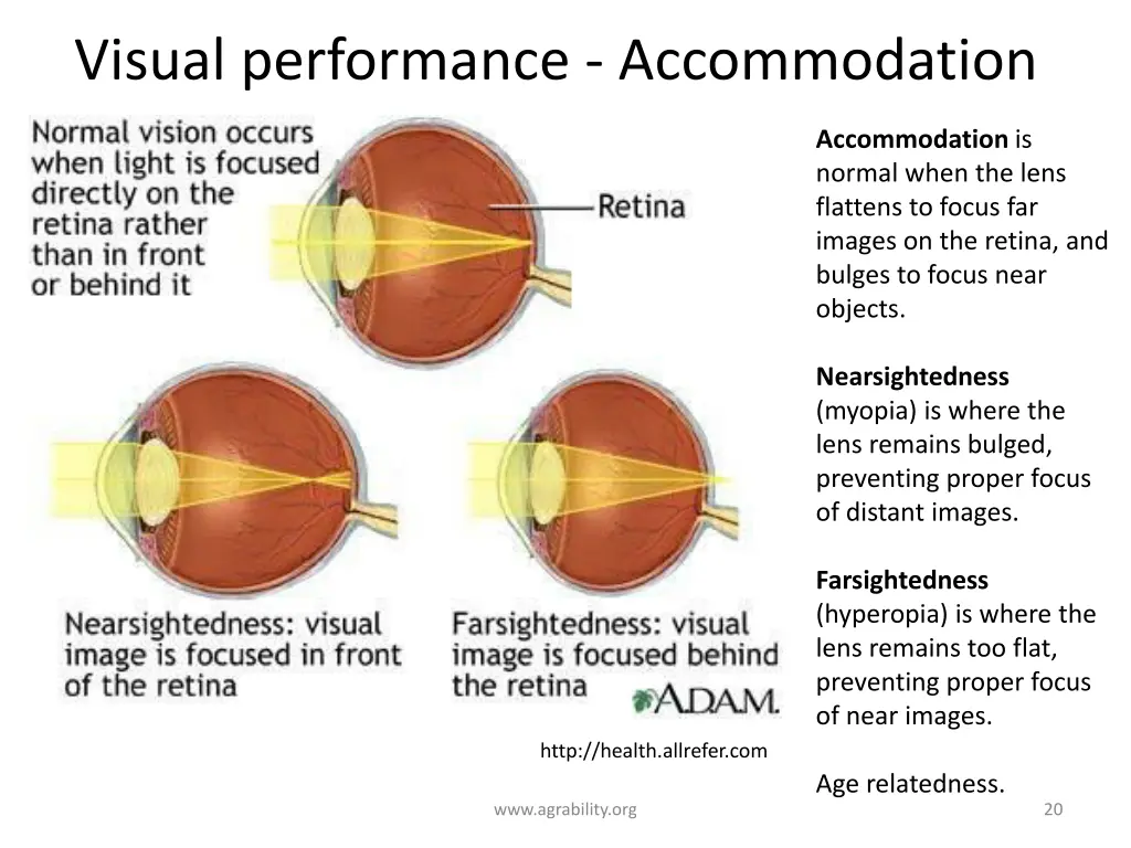 visual performance accommodation