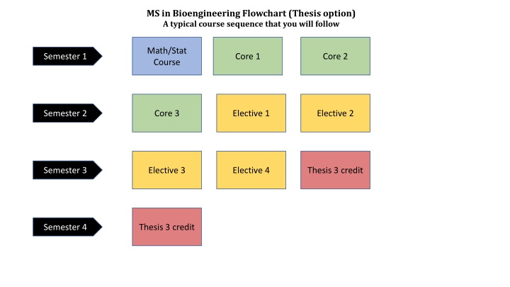 ms in bioengineering flowchart thesis option