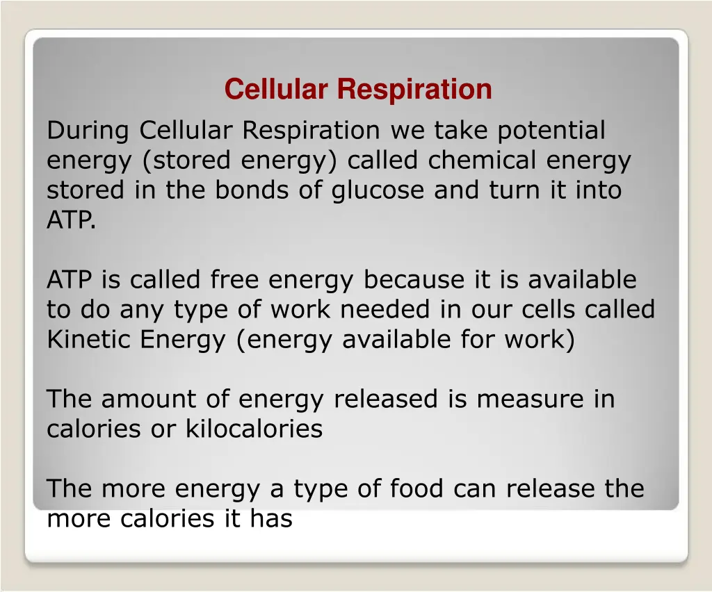 cellular respiration 1