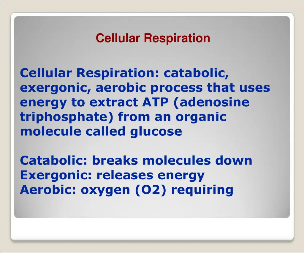 cellular respiration 2