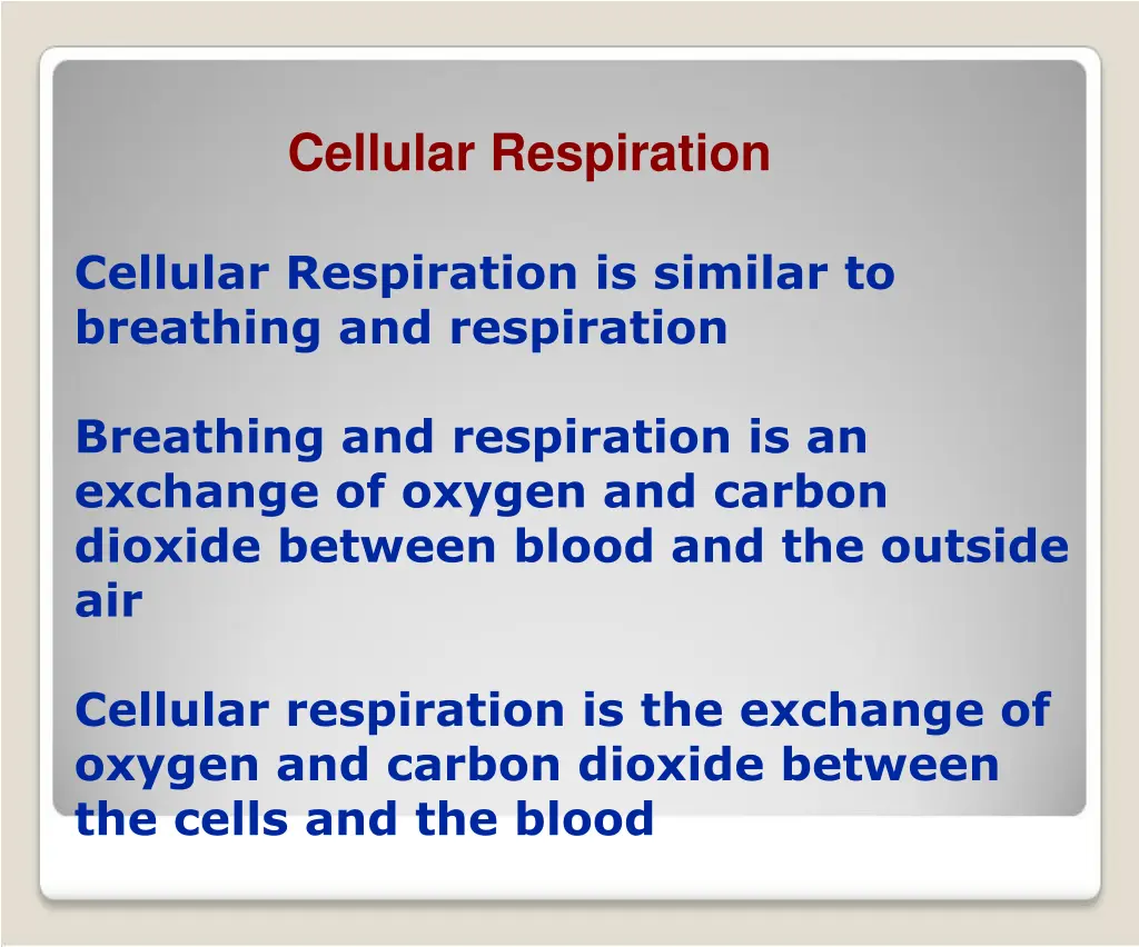 cellular respiration 3