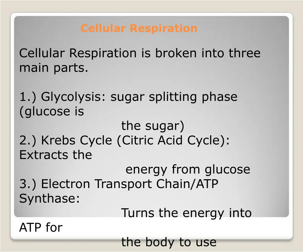 cellular respiration 6