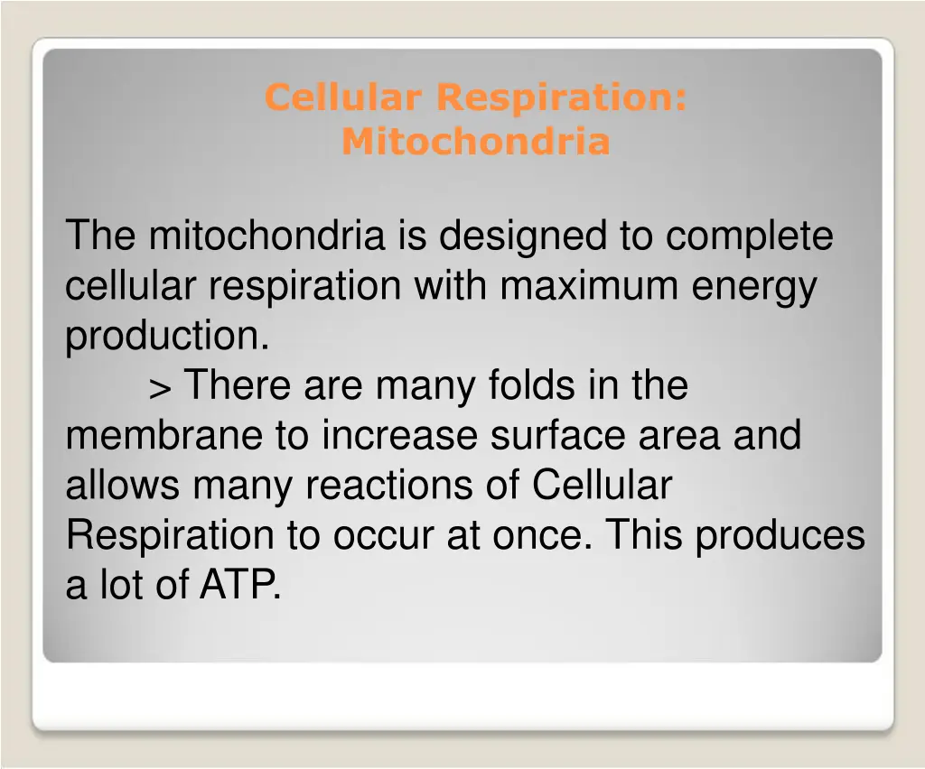 cellular respiration mitochondria