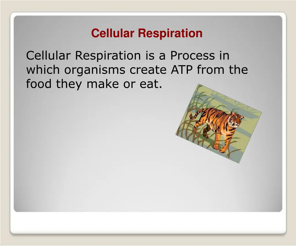 cellular respiration