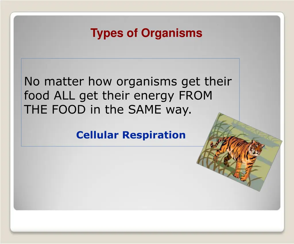 types of organisms 1