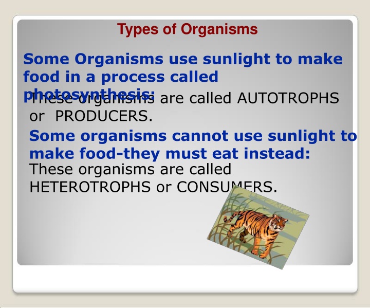 types of organisms