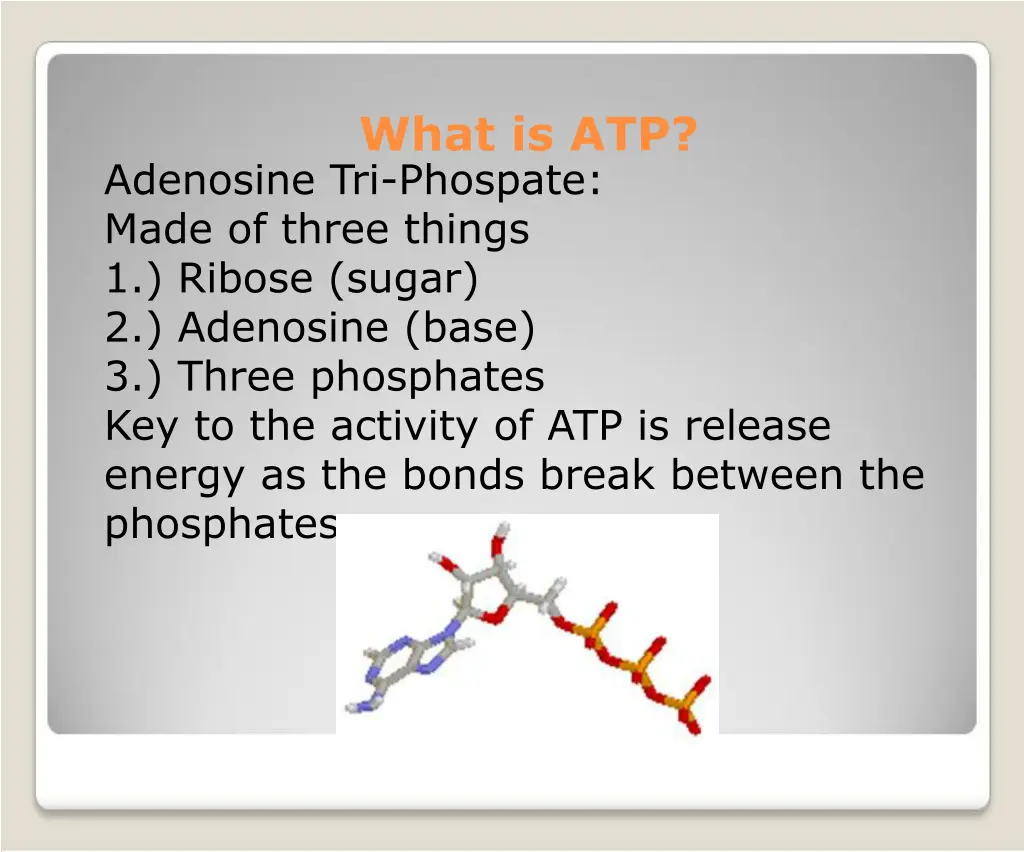 what is atp