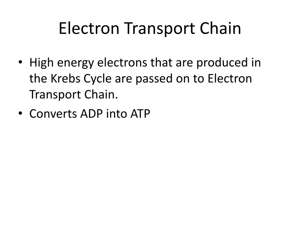 electron transport chain