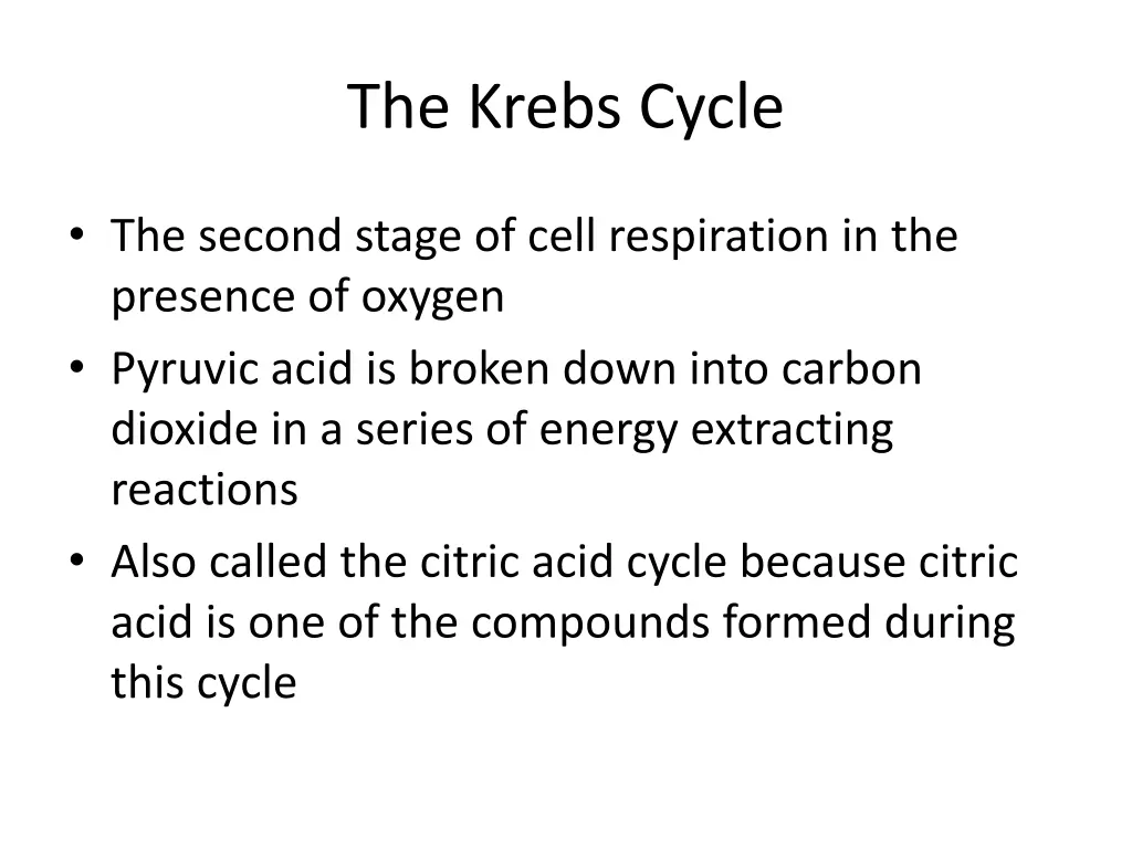 the krebs cycle