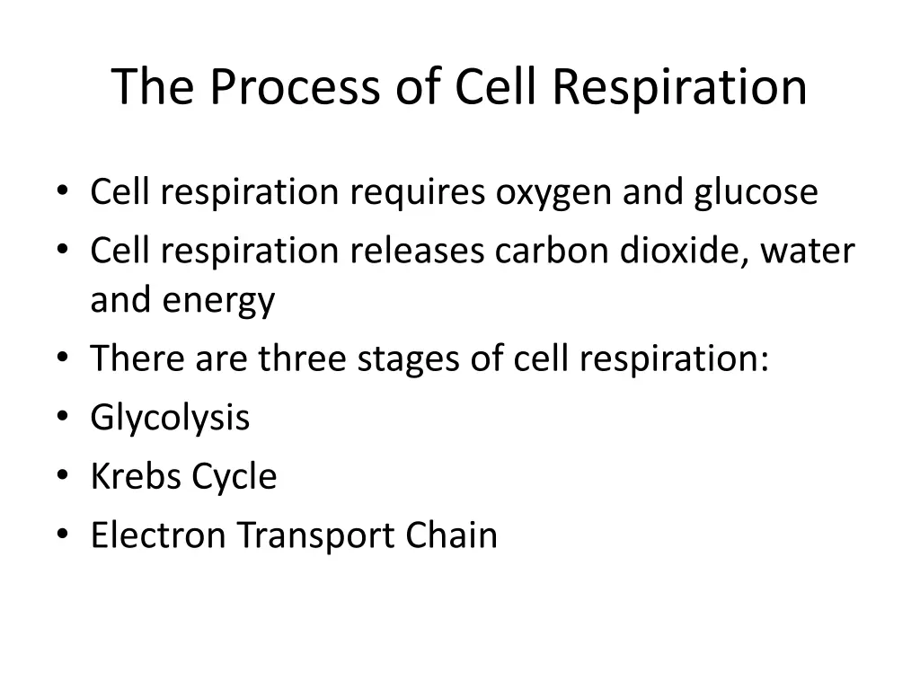 the process of cell respiration 1