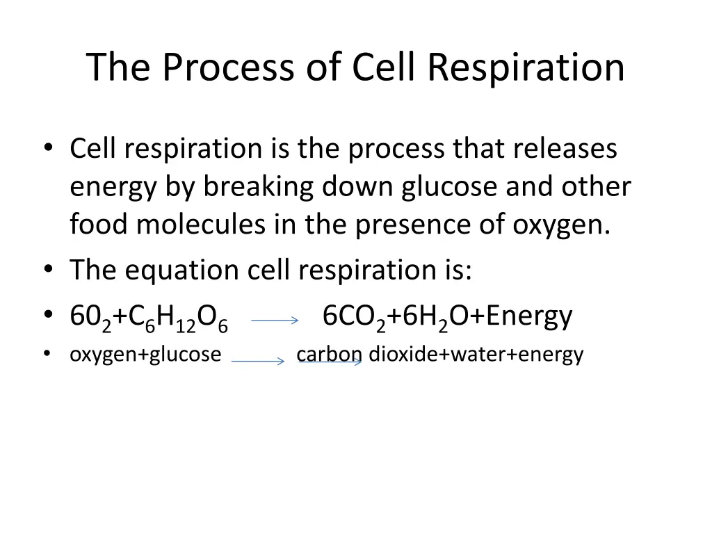 the process of cell respiration